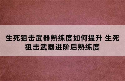 生死狙击武器熟练度如何提升 生死狙击武器进阶后熟练度